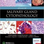 Atlas of Salivary Gland Cytopathology: with Histopathologic Correlations Ebook