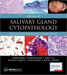 Atlas of Salivary Gland Cytopathology with Histopathologic Correlations Ebook